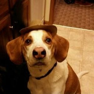 Meet your Posher, Griffin